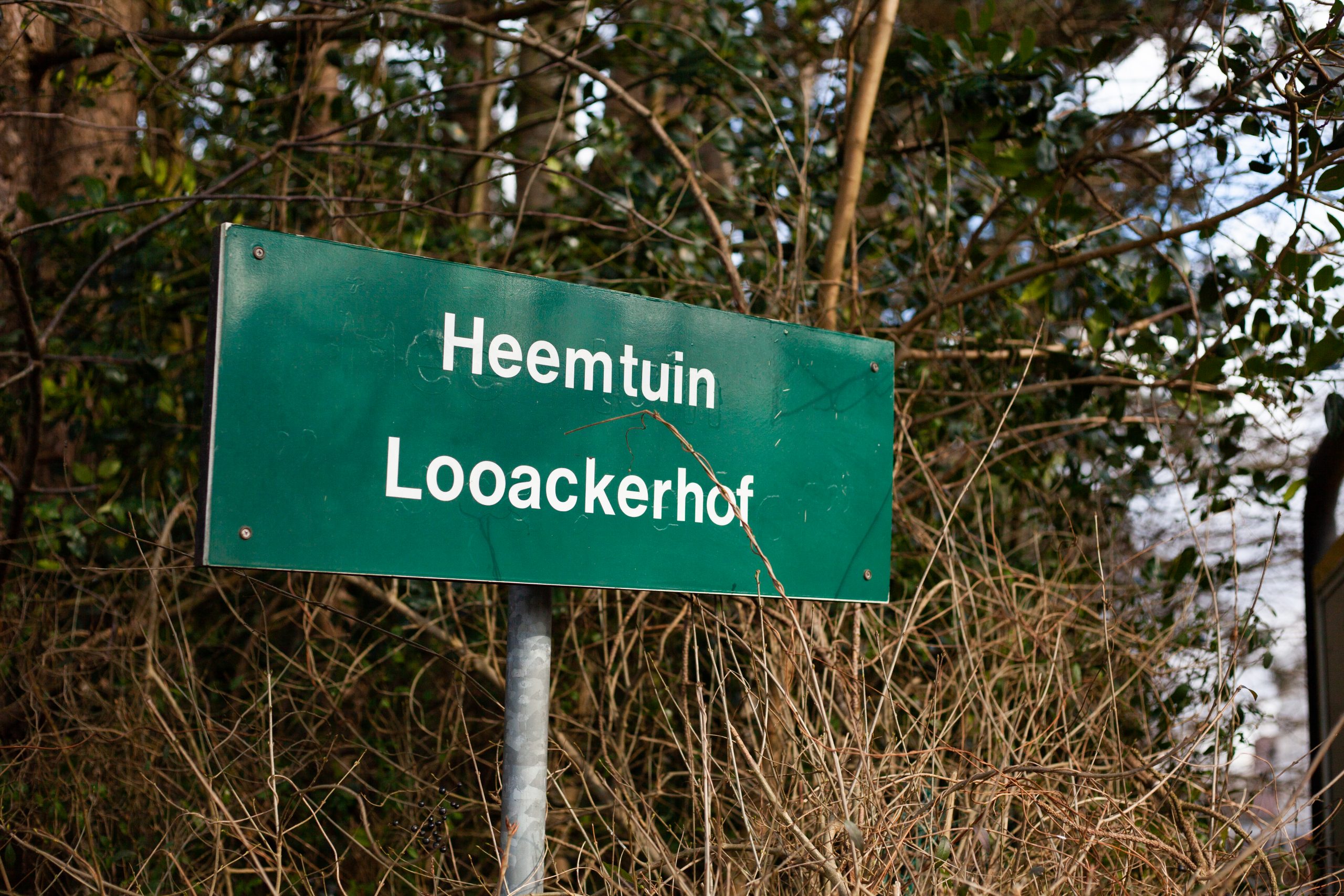 Agenda Looackherhof